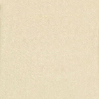 Pale beige leather texture with a fine horizontal grain, matte finish, and subtle brand text imprint; warm neutral tone.